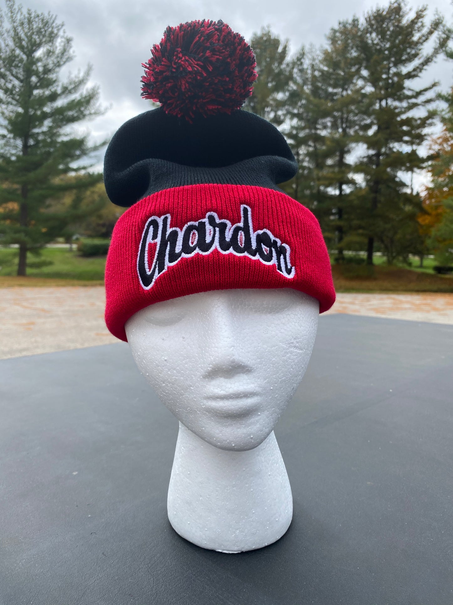 Chardon Embroidered Pom-Pom Stocking Hat
